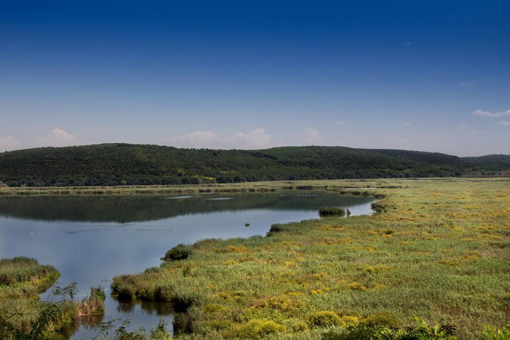 Srebarna Lakeview Apartments Srebŭrna Екстериор снимка