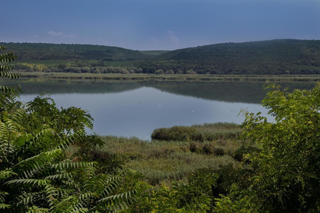 Srebarna Lakeview Apartments Srebŭrna Екстериор снимка