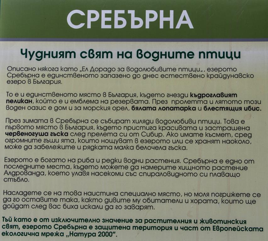 Srebarna Lakeview Apartments Srebŭrna Екстериор снимка