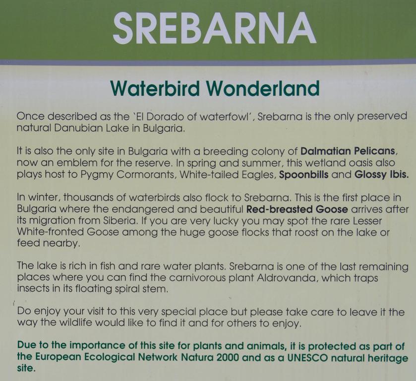 Srebarna Lakeview Apartments Srebŭrna Екстериор снимка