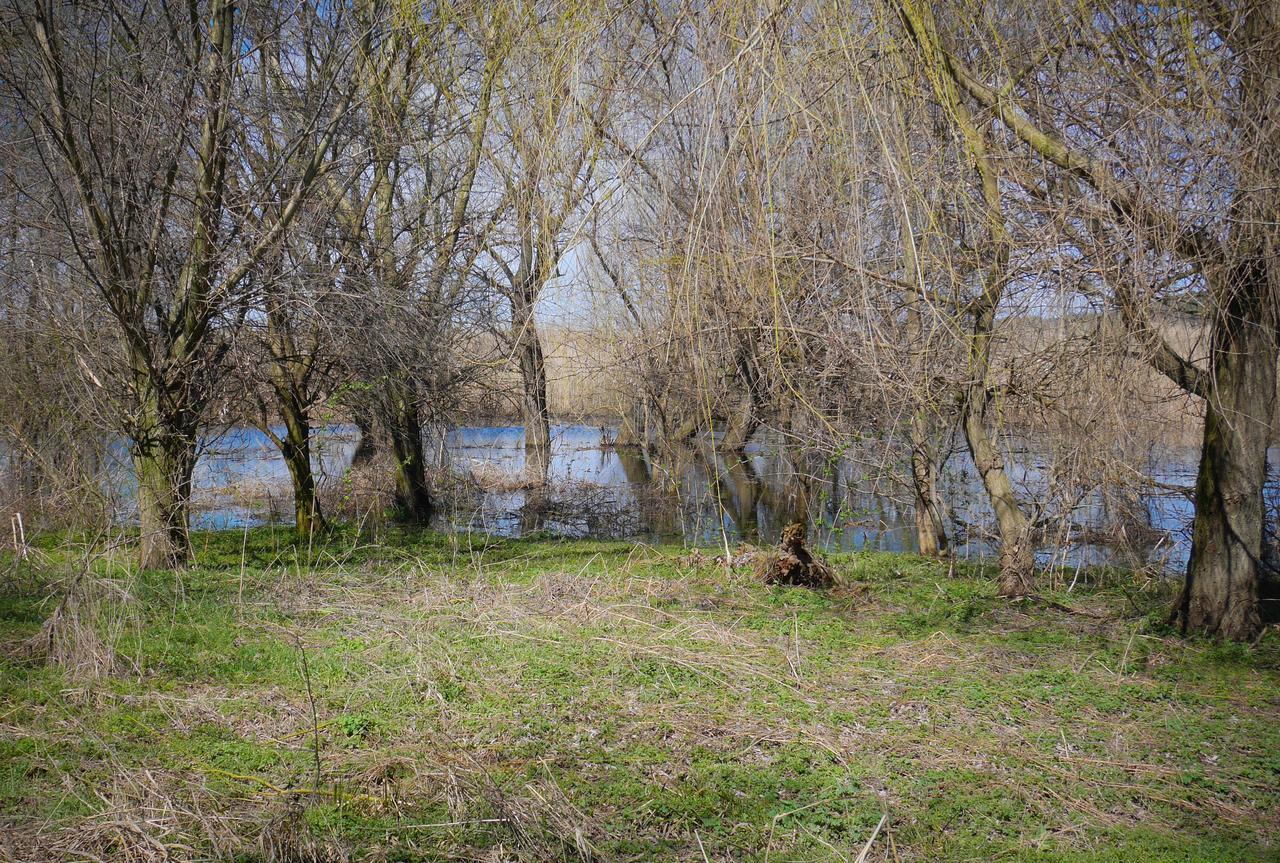 Srebarna Lakeview Apartments Srebŭrna Екстериор снимка