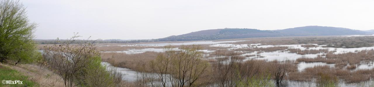 Srebarna Lakeview Apartments Srebŭrna Екстериор снимка